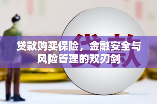 颍上贷款购买保险，金融安全与风险管理的双刃剑