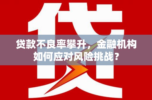 颍上贷款不良率攀升，金融机构如何应对风险挑战？