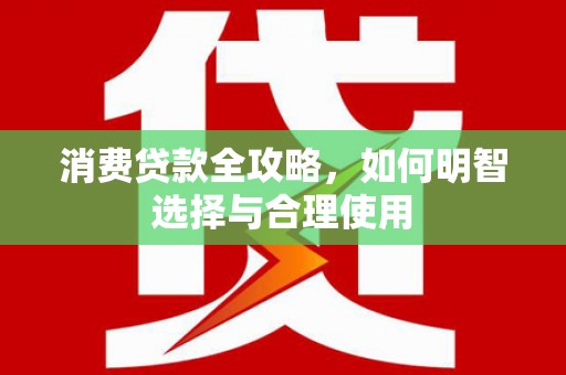 颍上消费贷款全攻略，如何明智选择与合理使用