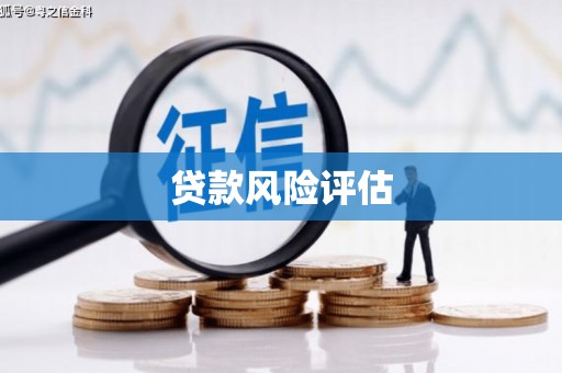 颍上贷款风险评估