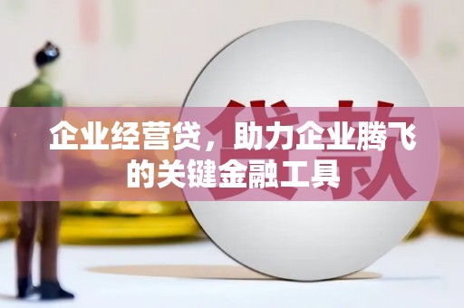 颍上企业经营贷，助力企业腾飞的关键金融工具