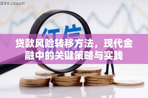 颍上贷款风险转移方法，现代金融中的关键策略与实践