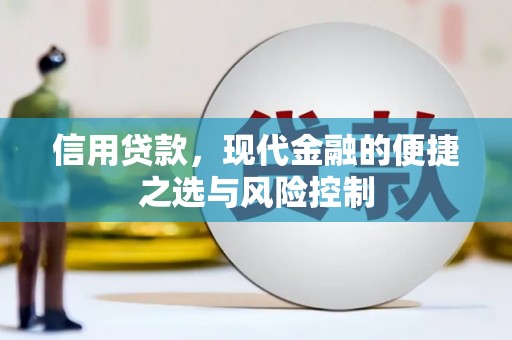 颍上信用贷款，现代金融的便捷之选与风险控制
