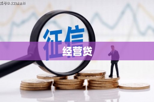颍上经营贷
