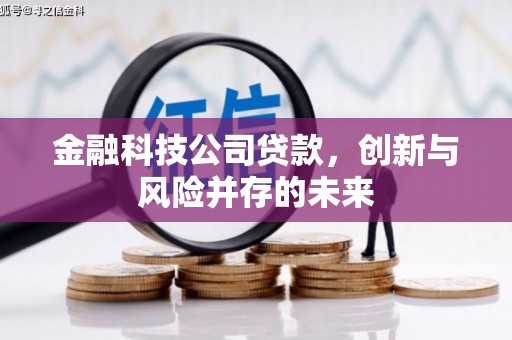 颍上金融科技公司贷款，创新与风险并存的未来
