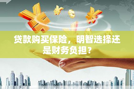颍上贷款购买保险，明智选择还是财务负担？