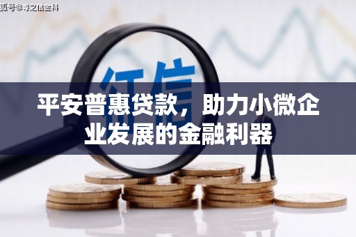 颍上平安普惠贷款，助力小微企业发展的金融利器