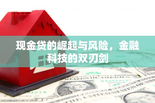 颍上现金贷的崛起与风险，金融科技的双刃剑