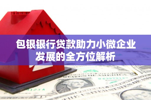 颍上包银银行贷款助力小微企业发展的全方位解析