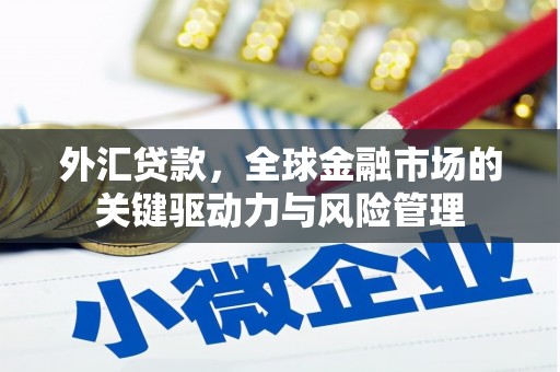 颍上外汇贷款，全球金融市场的关键驱动力与风险管理