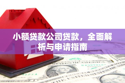 颍上小额贷款公司贷款，全面解析与申请指南
