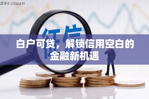 颍上白户可贷，解锁信用空白的金融新机遇