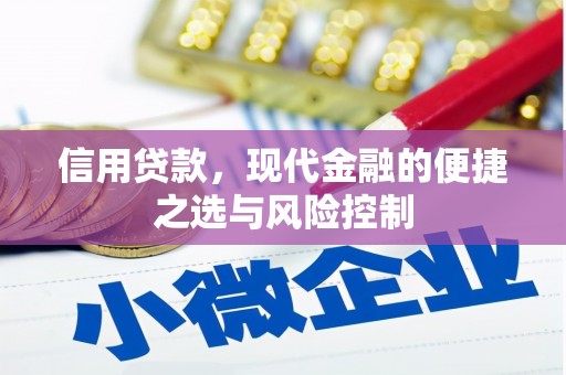 颍上信用贷款，现代金融的便捷之选与风险控制