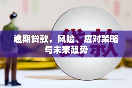 颍上逾期贷款，风险、应对策略与未来趋势