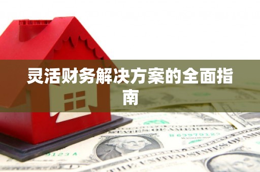 颍上灵活财务解决方案的全面指南