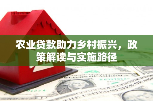 颍上农业贷款助力乡村振兴，政策解读与实施路径