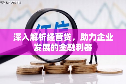 颍上深入解析经营贷，助力企业发展的金融利器