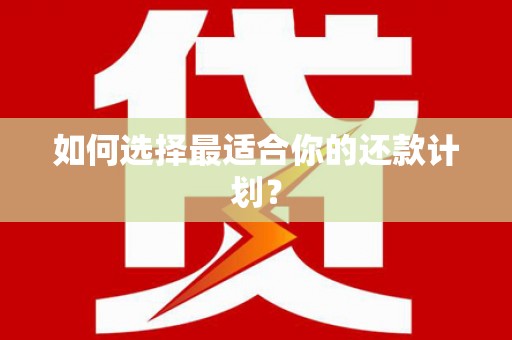 颍上如何选择最适合你的还款计划？