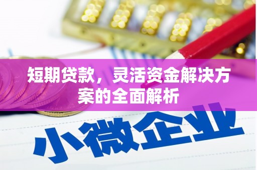颍上短期贷款，灵活资金解决方案的全面解析