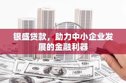 颍上银盛贷款，助力中小企业发展的金融利器