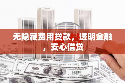颍上无隐藏费用贷款，透明金融，安心借贷