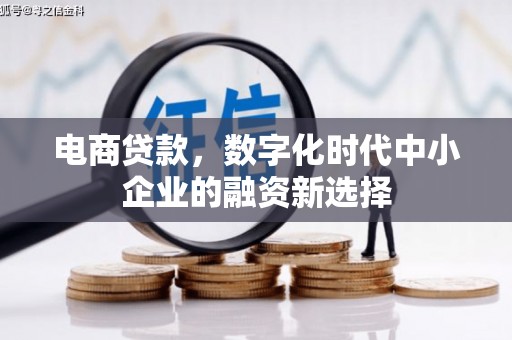 颍上电商贷款，数字化时代中小企业的融资新选择