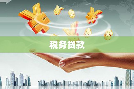 颍上税务贷款