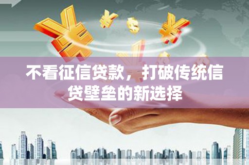 颍上不看征信贷款，打破传统信贷壁垒的新选择