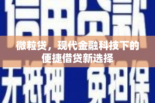 颍上微粒贷，现代金融科技下的便捷借贷新选择