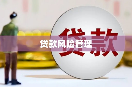 颍上贷款风险管理