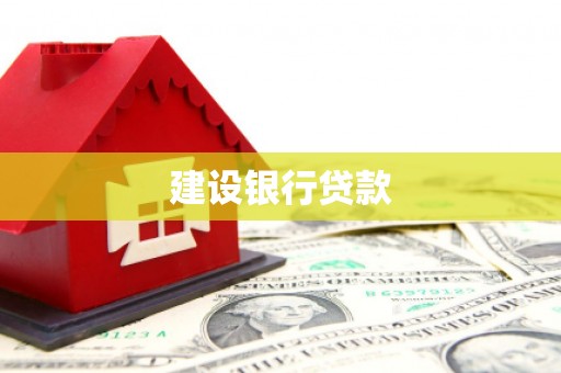 颍上建设银行贷款