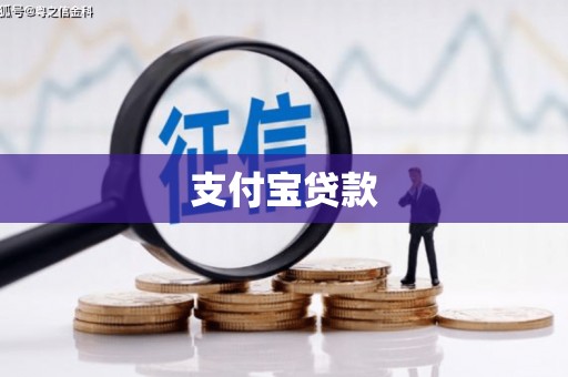 颍上支付宝贷款