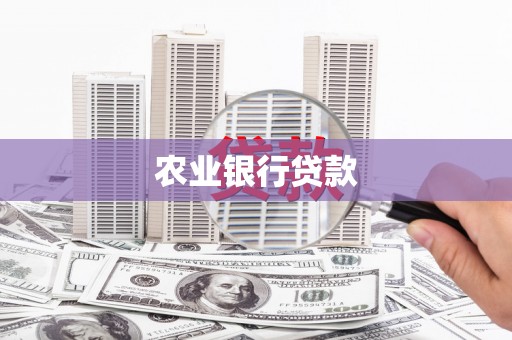 颍上农业银行贷款