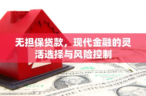 颍上无担保贷款，现代金融的灵活选择与风险控制