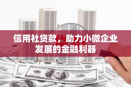 颍上信用社贷款，助力小微企业发展的金融利器