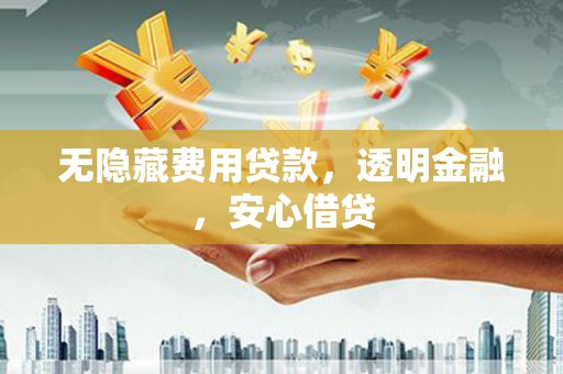 颍上无隐藏费用贷款，透明金融，安心借贷