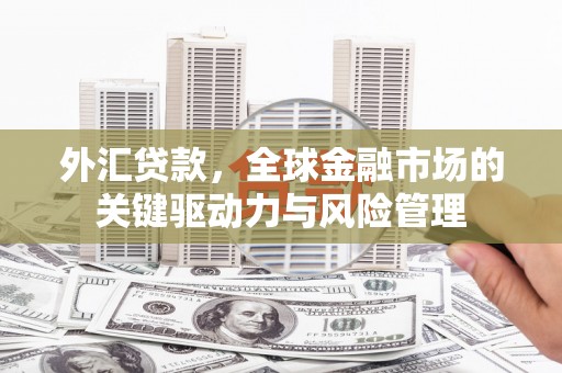 颍上外汇贷款，全球金融市场的关键驱动力与风险管理