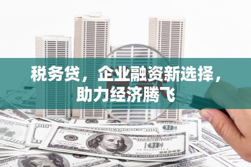 颍上税务贷，企业融资新选择，助力经济腾飞