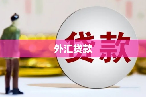 颍上外汇贷款