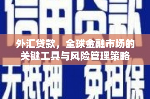 颍上外汇贷款，全球金融市场的关键工具与风险管理策略