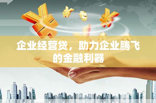 颍上企业经营贷，助力企业腾飞的金融利器