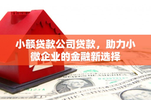 颍上小额贷款公司贷款，助力小微企业的金融新选择