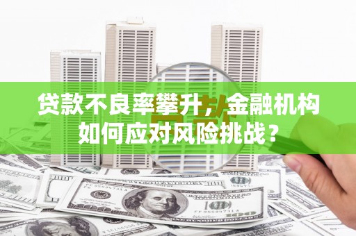 颍上贷款不良率攀升，金融机构如何应对风险挑战？