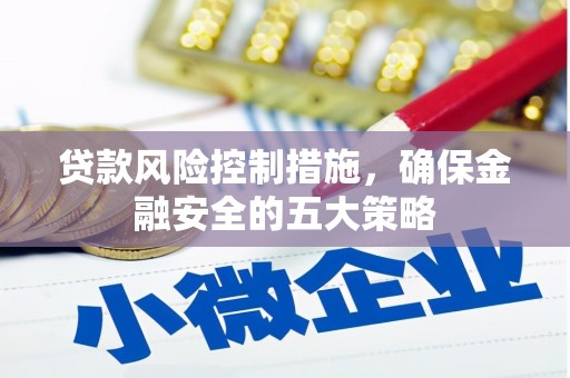 颍上贷款风险控制措施，确保金融安全的五大策略