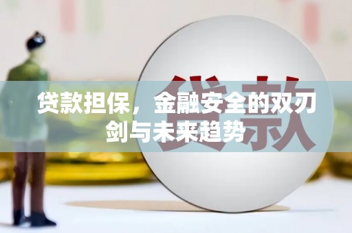 颍上贷款担保，金融安全的双刃剑与未来趋势