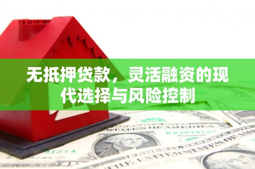 颍上无抵押贷款，灵活融资的现代选择与风险控制