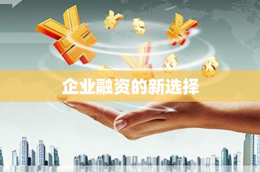 颍上企业融资的新选择