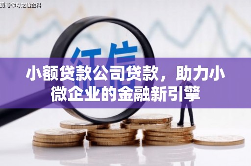 颍上小额贷款公司贷款，助力小微企业的金融新引擎