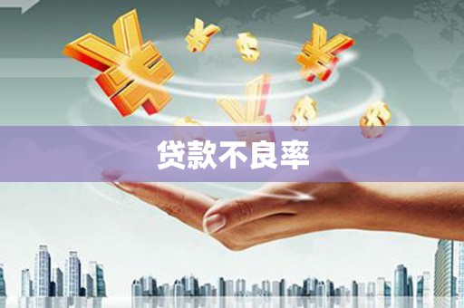 颍上贷款不良率