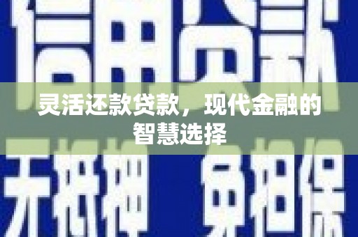 颍上灵活还款贷款，现代金融的智慧选择